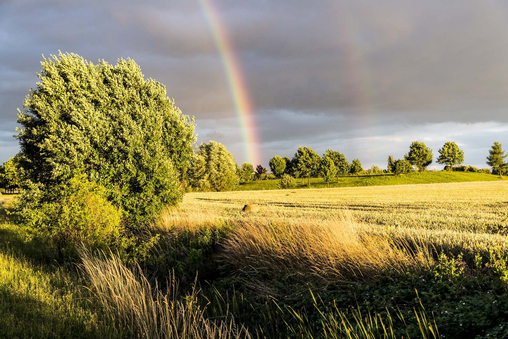 Nach dem Gewitter