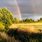 Nach dem Gewitter