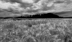 Nach dem Gewitter