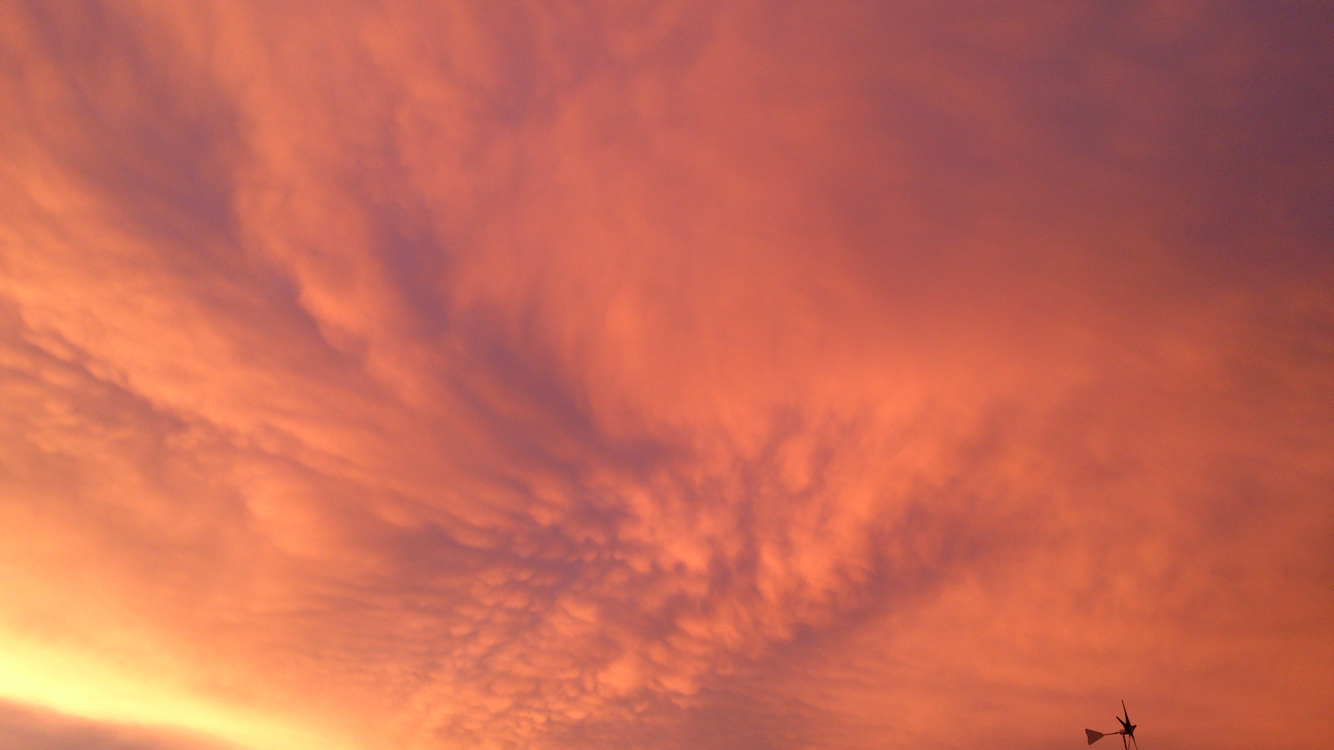 Nach dem Gewitter