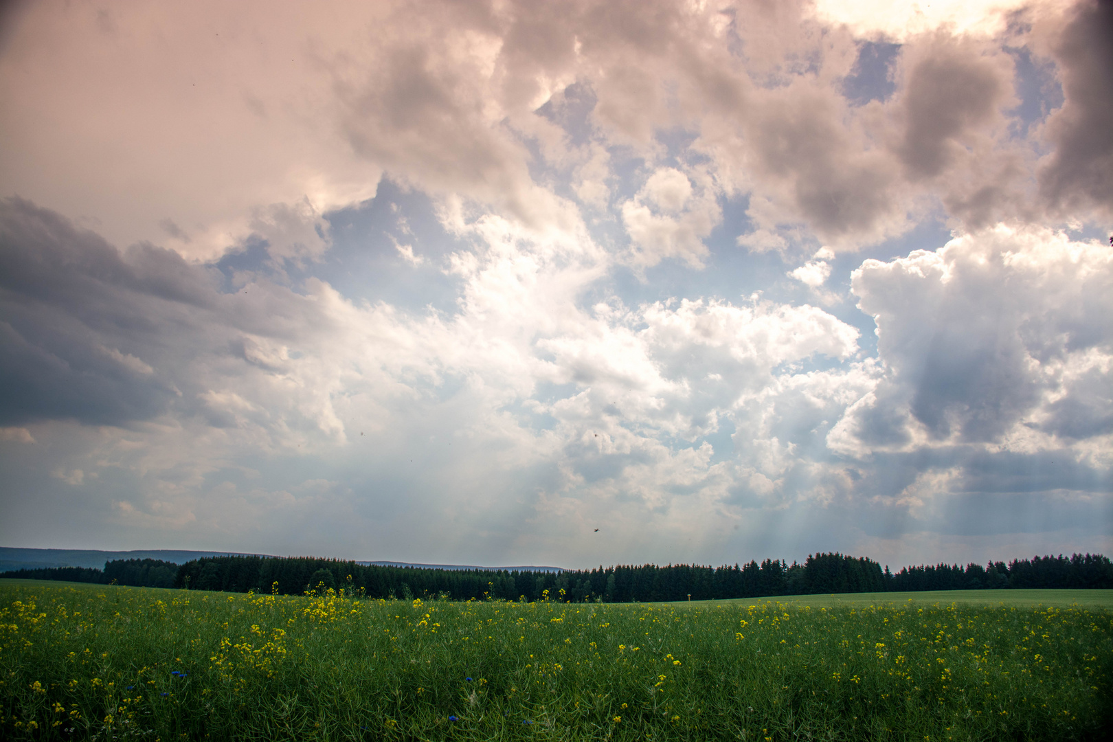 nach dem Gewitter