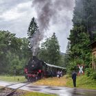 Nach dem Gewitter