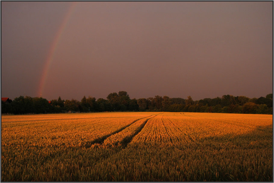 nach dem gewitter 4