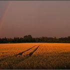 nach dem gewitter 4