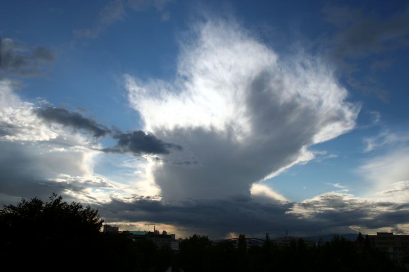 nach dem Gewitter