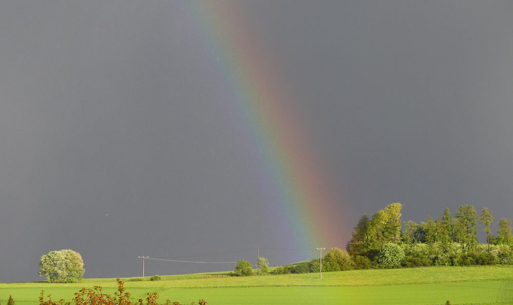 nach dem Gewitter...