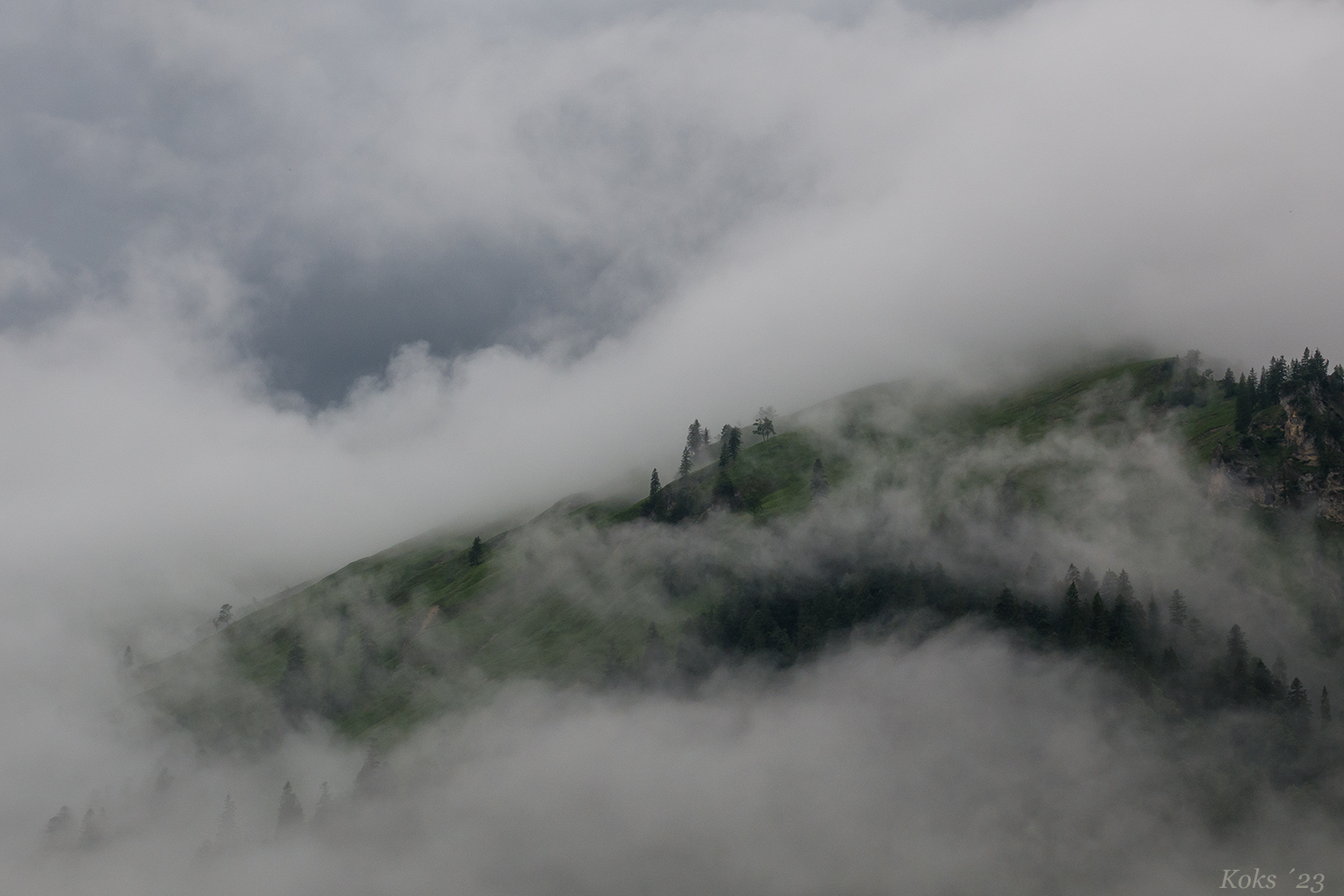 Nach dem Gewitter