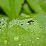 Nach dem Gewitter