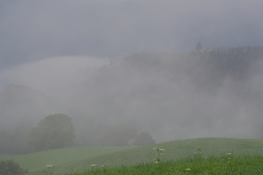 Nach dem Gewitter