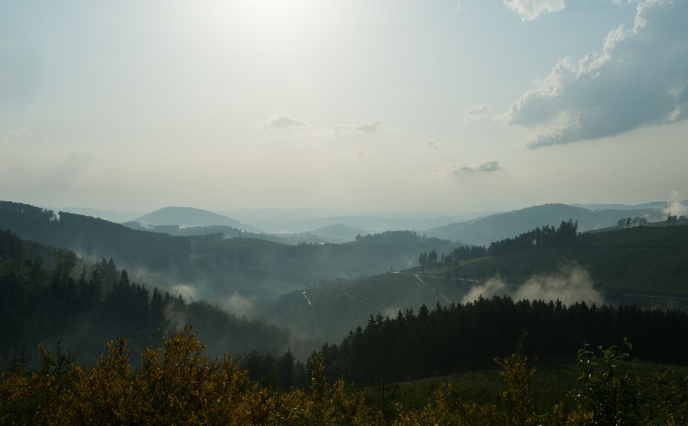 nach dem Gewitter