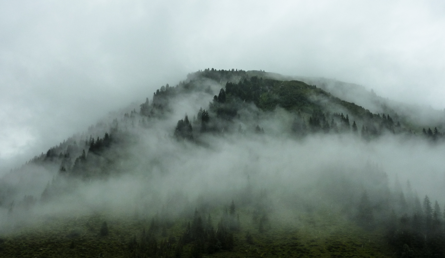 Nach dem Gewitter