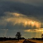 Nach dem Gewitter