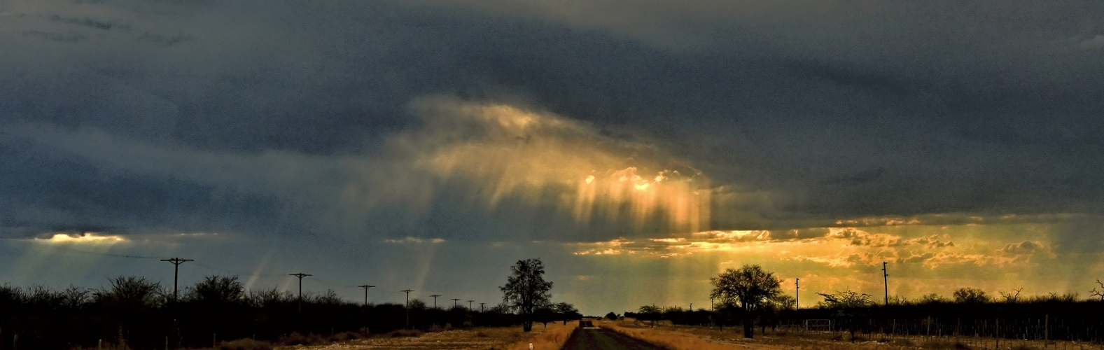 Nach dem Gewitter