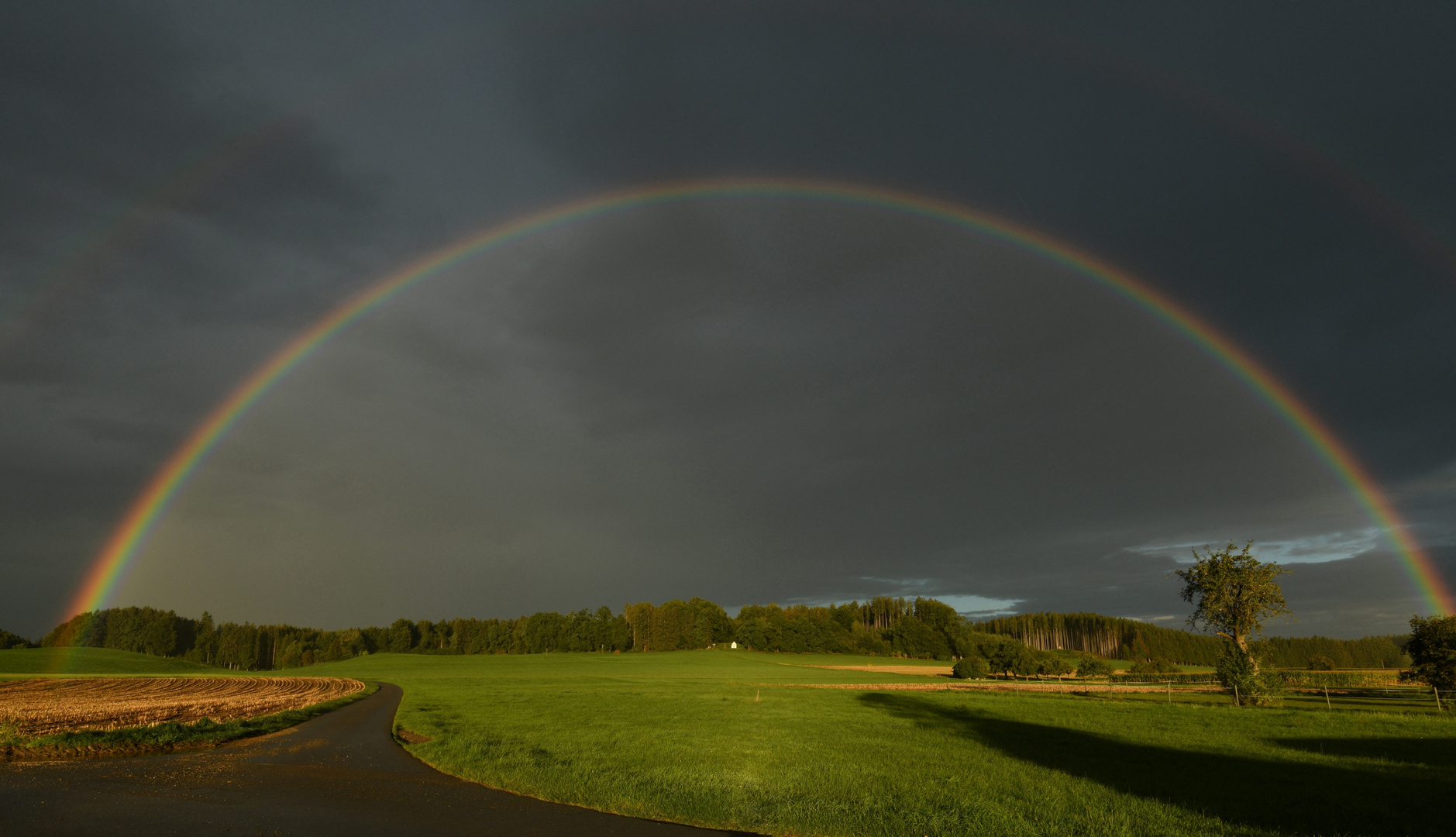 Nach dem Gewitter