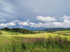 Nach dem Gewitter