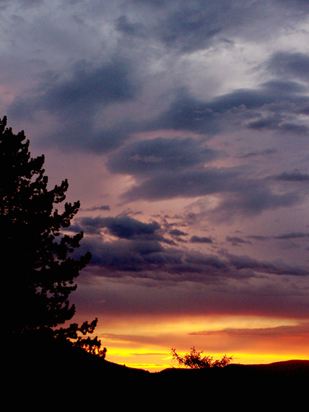 Nach dem Gewitter