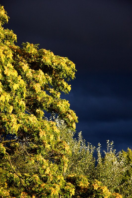 Nach dem Gewitter