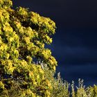 Nach dem Gewitter