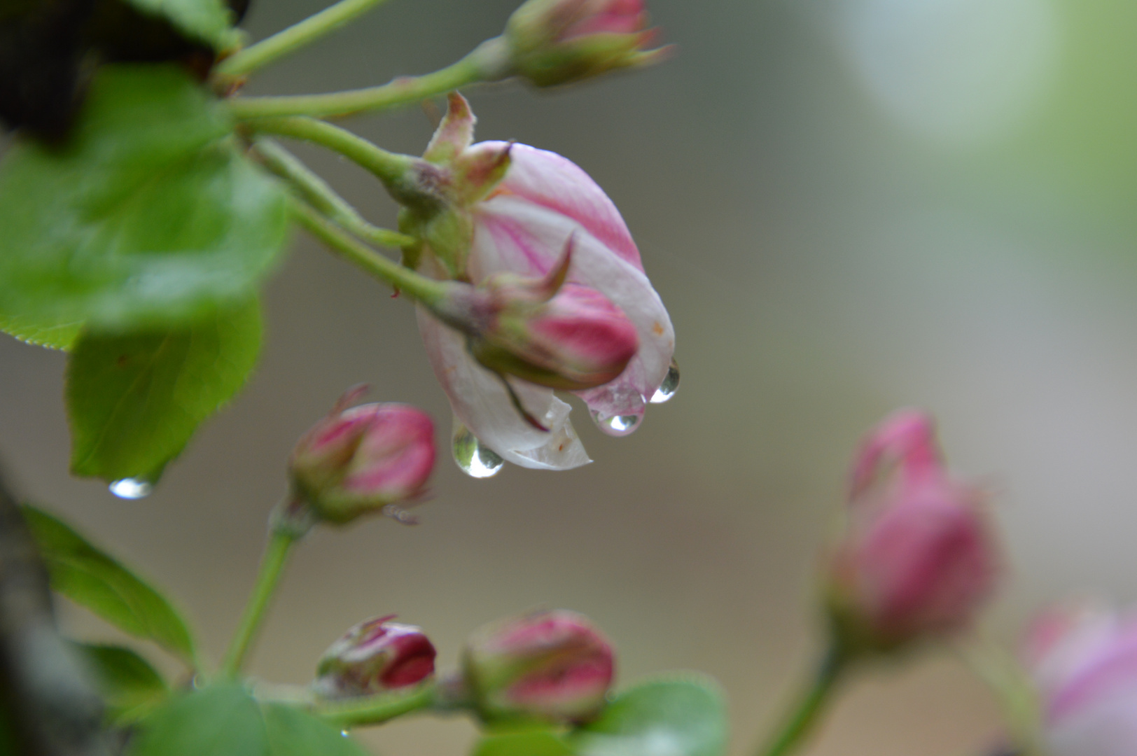 Nach dem Gewitter