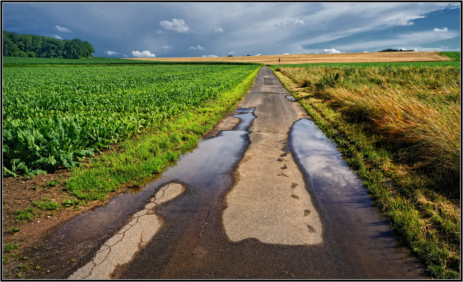 Nach dem Gewitter