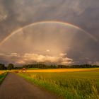 Nach dem Gewitter