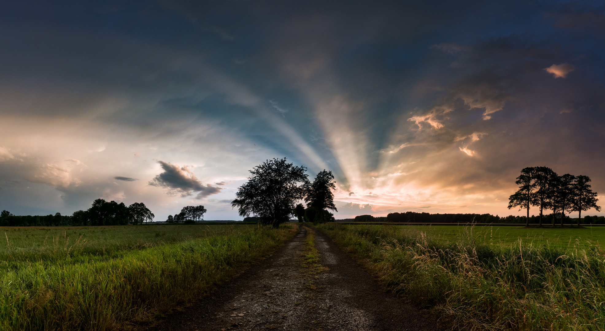 Nach dem Gewitter