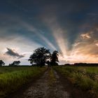 Nach dem Gewitter