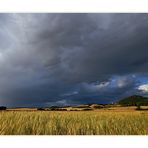 Nach dem Gewitter