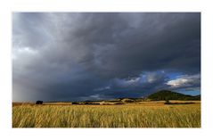 Nach dem Gewitter