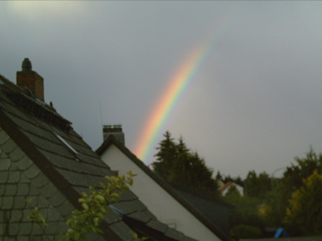 Nach dem gewitter