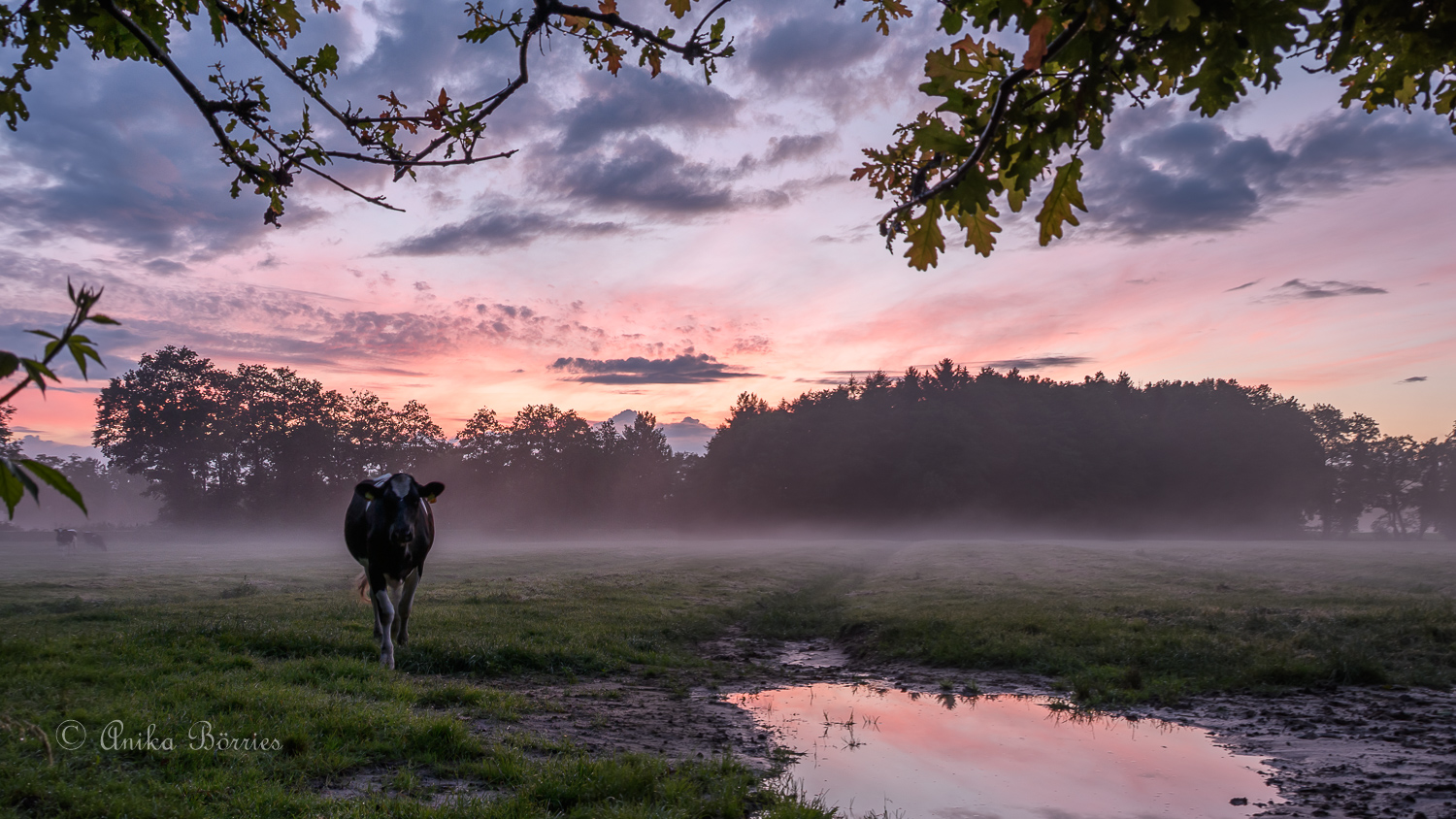 Nach dem Gewitter...