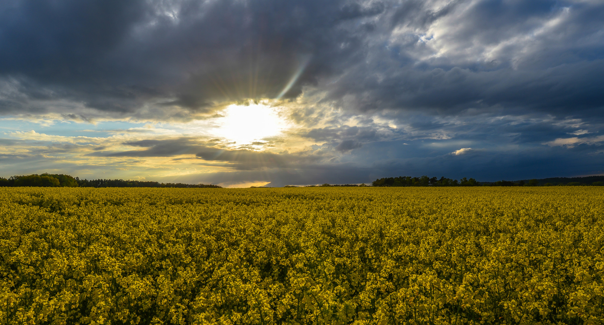 Nach dem Gewitter ...