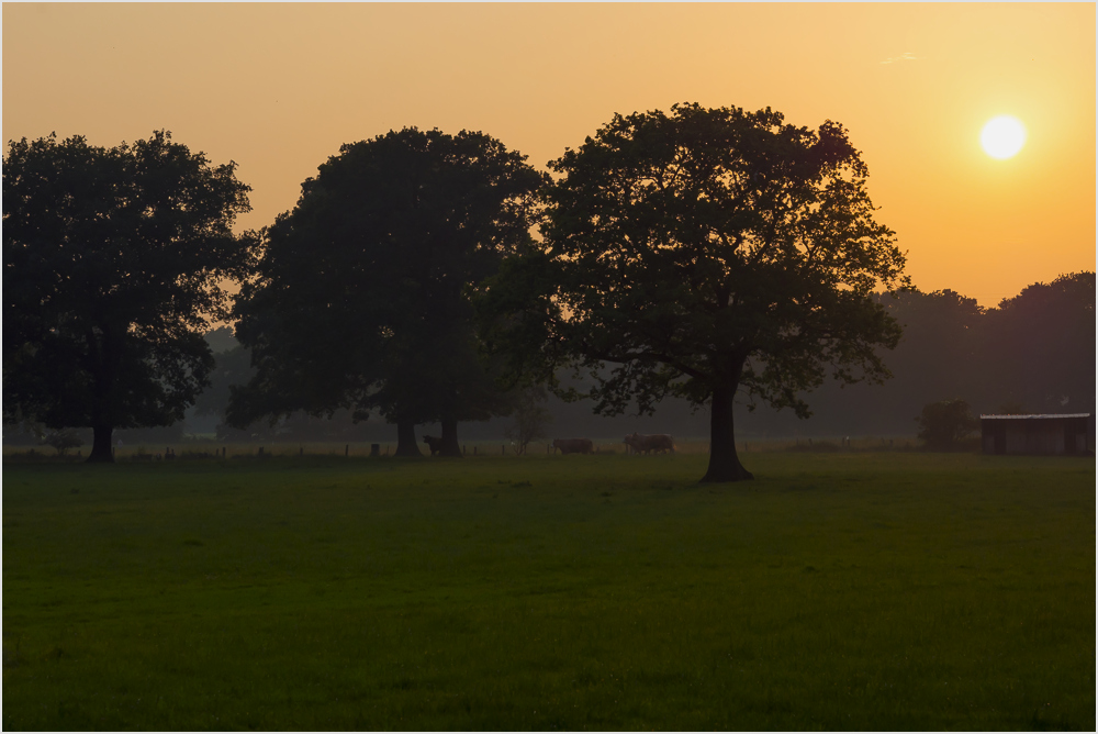 Nach dem Gewitter...