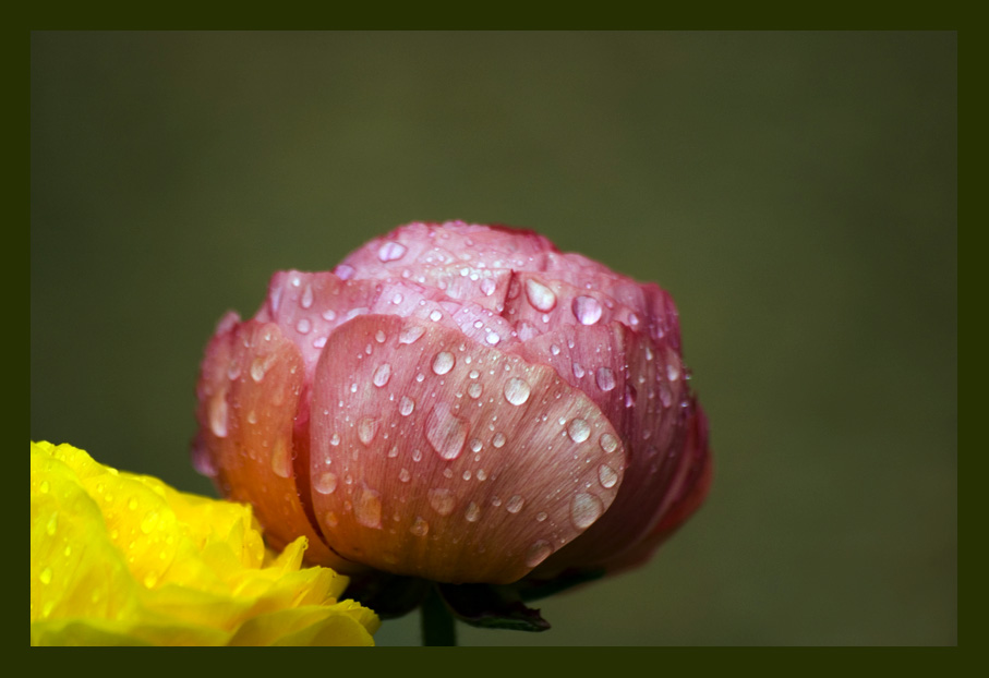 nach dem Gewitter