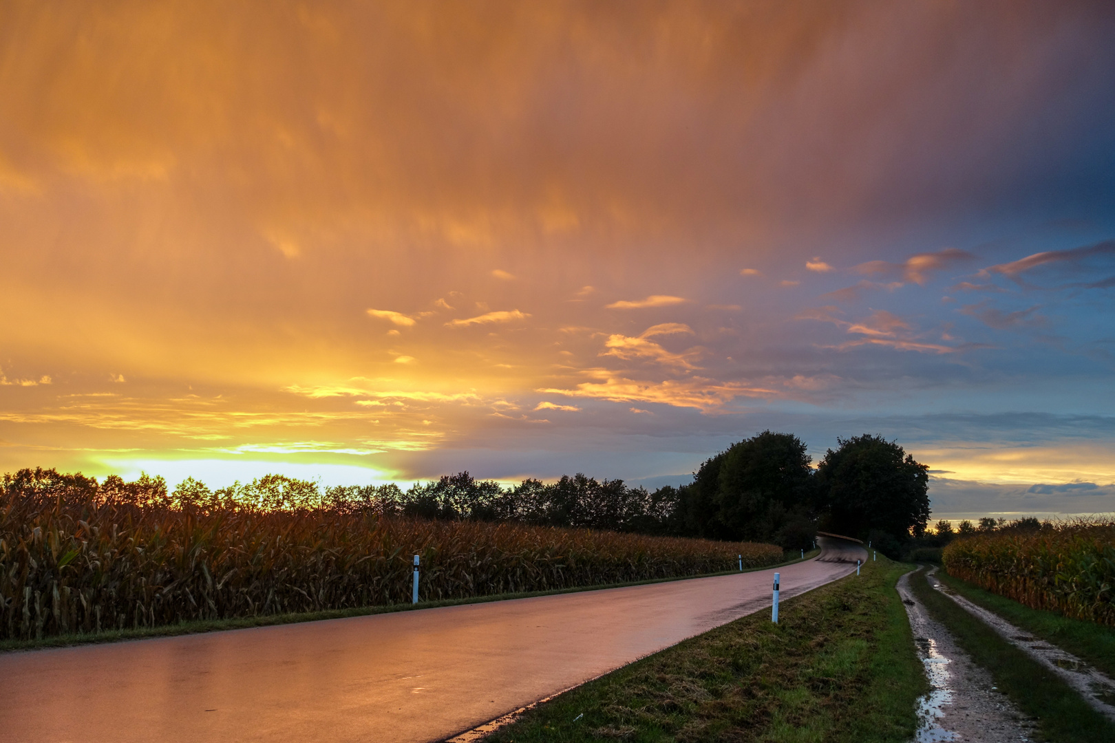 nach dem Gewitter