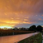 nach dem Gewitter