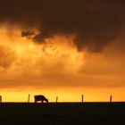 Nach dem Gewitter