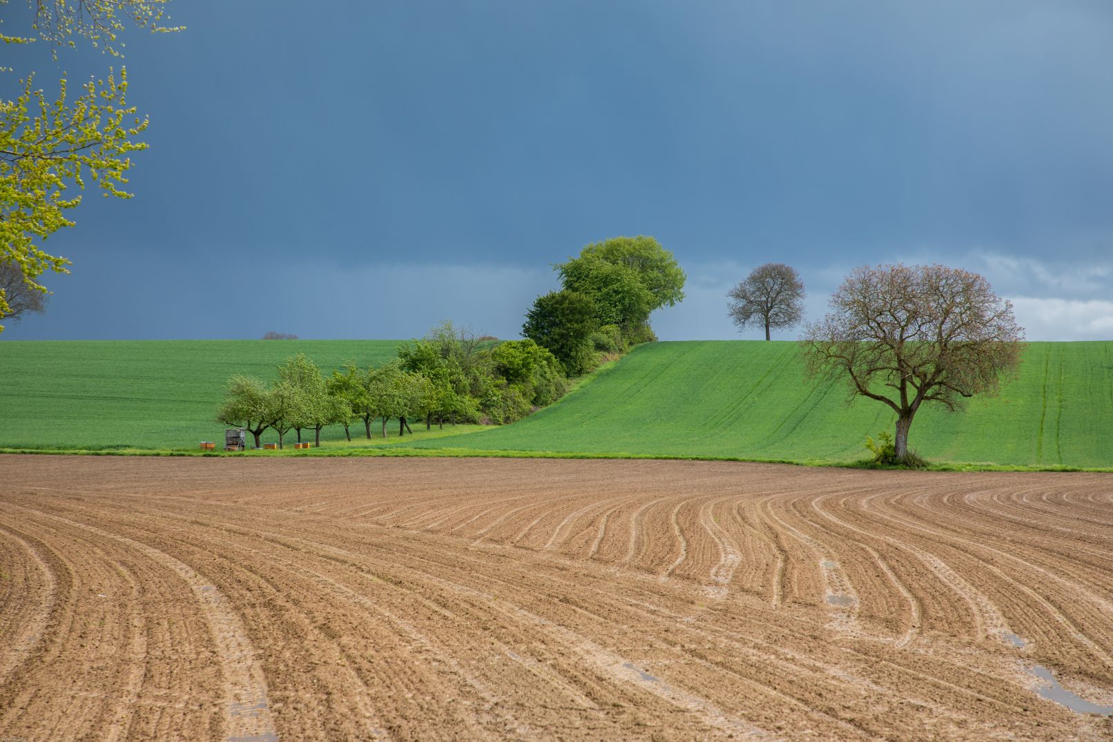 Nach dem Gewitter