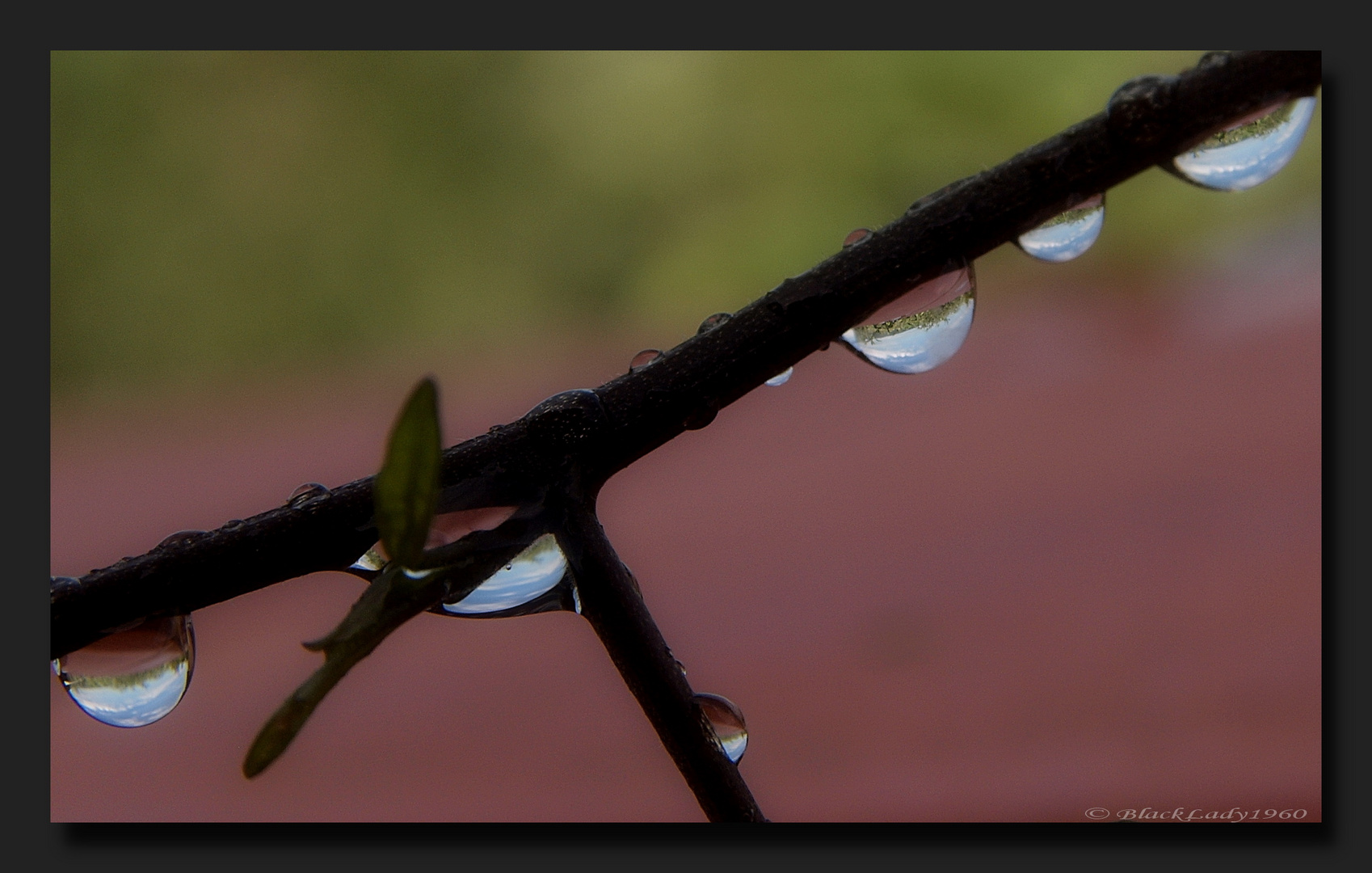 Nach dem Gewitter