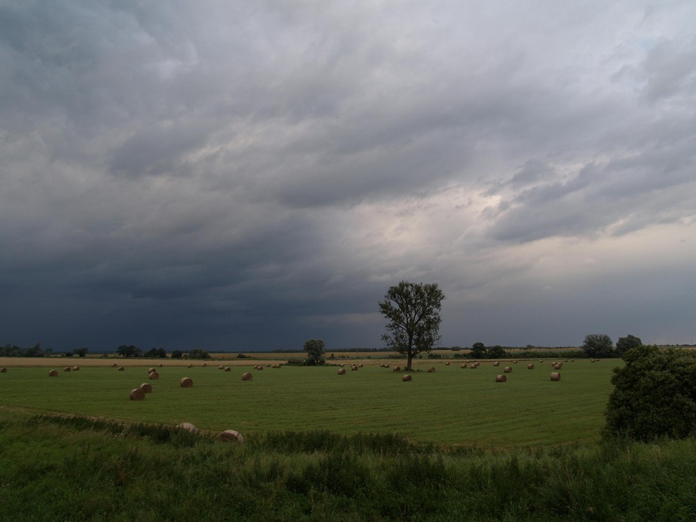 nach dem Gewitter