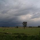 nach dem Gewitter