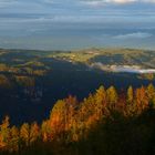 Nach dem Gewitter