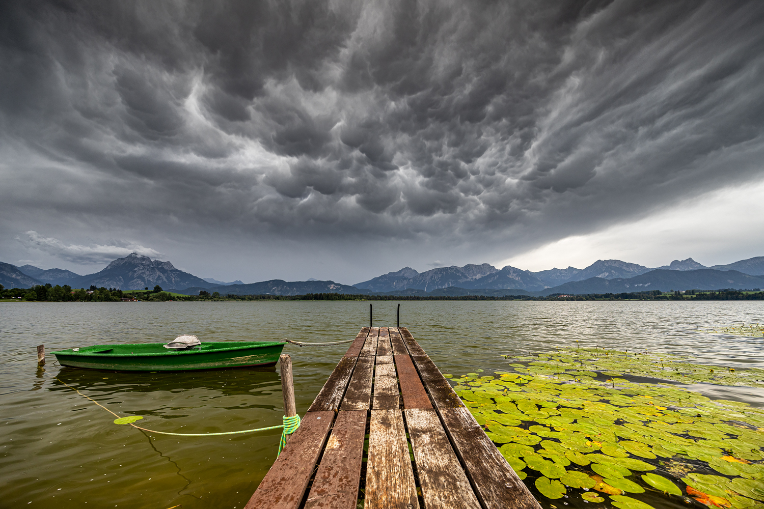 nach dem gewitter ...