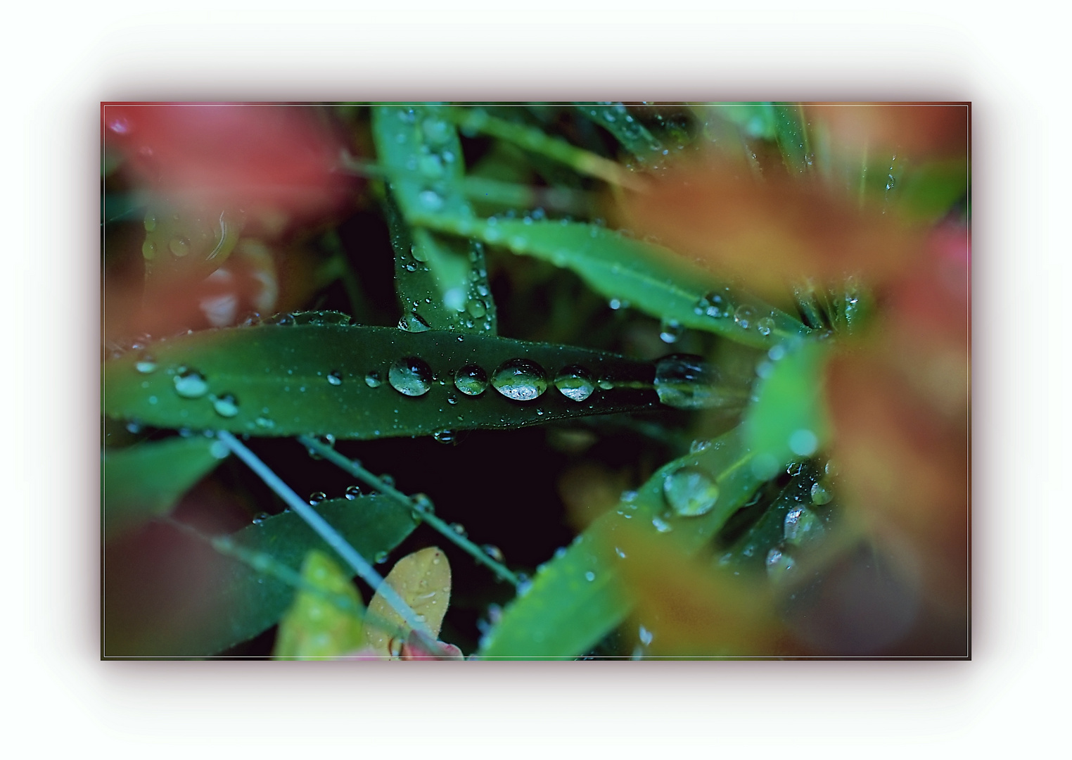 nach dem Gewitter