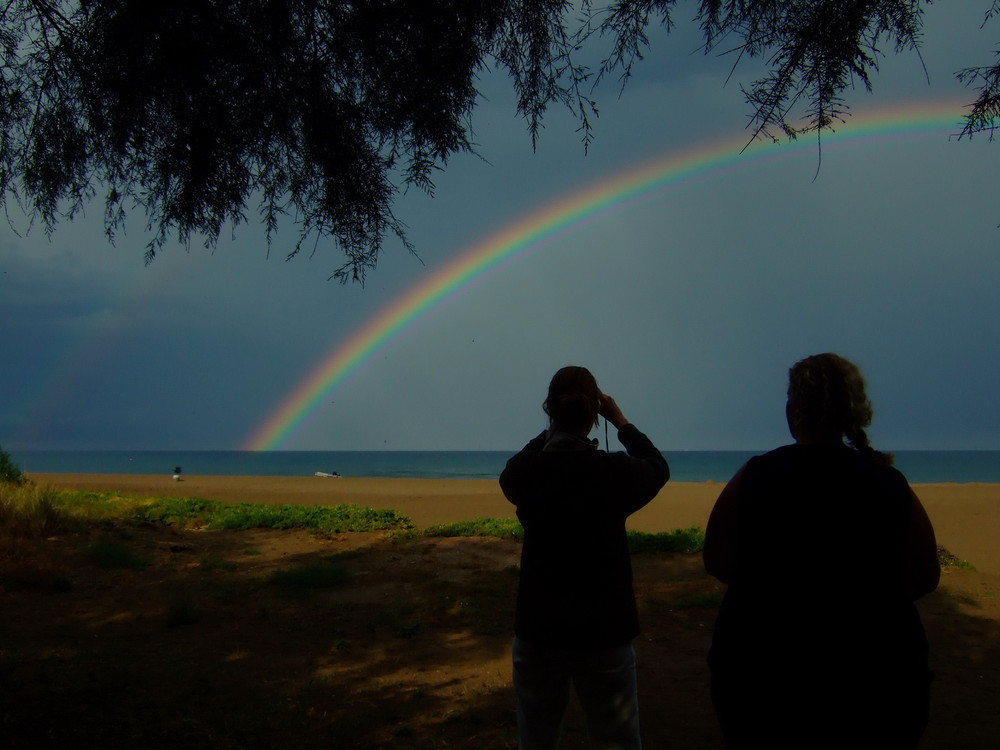 Nach dem Gewitter