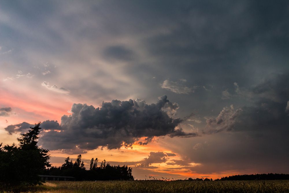 Nach dem Gewitter