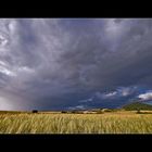 Nach dem Gewitter