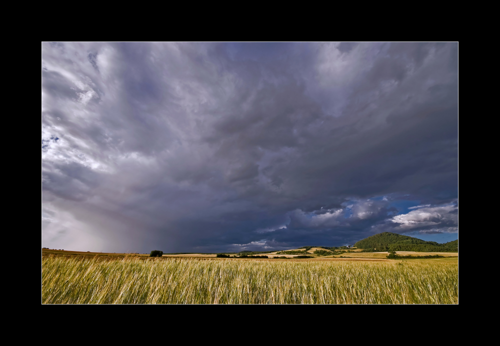 Nach dem Gewitter