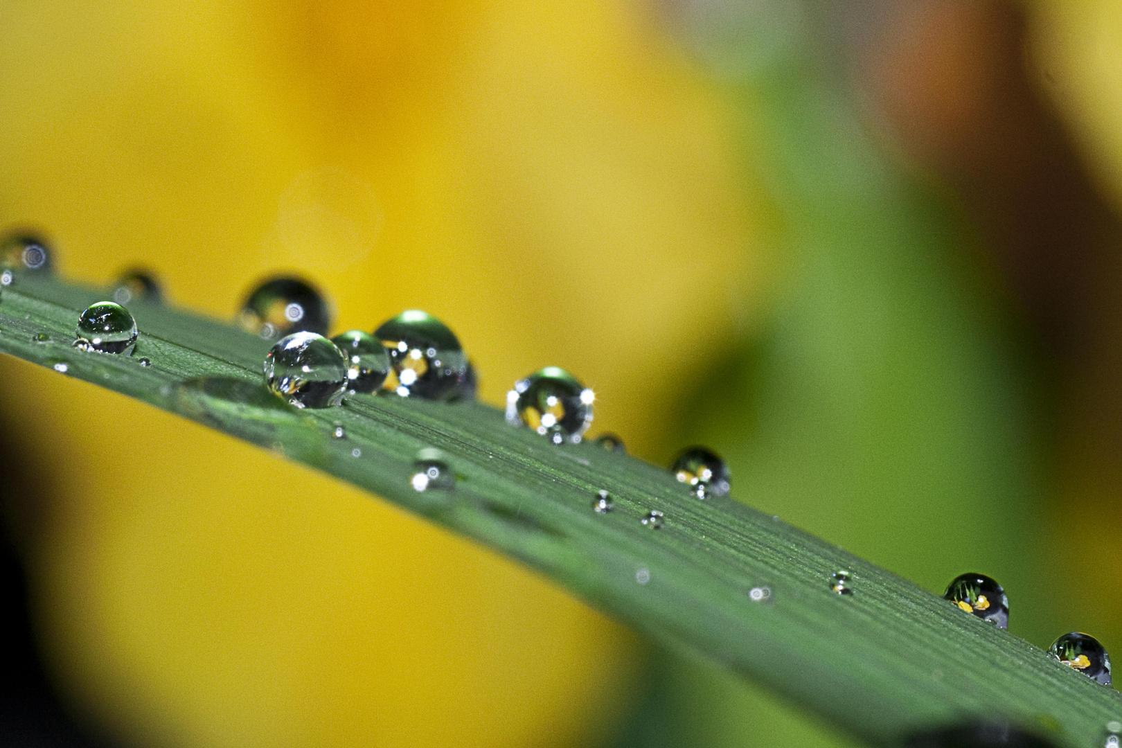 Nach dem Gewitter