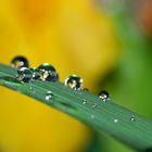 Nach dem Gewitter